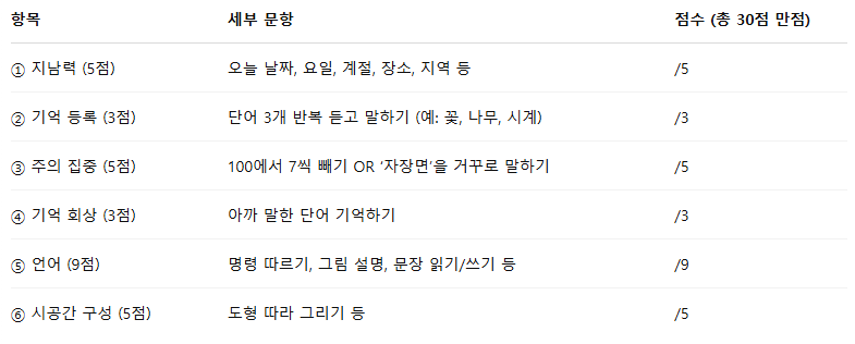 노인 자살고민 5가지! 노인심리상담사가 알려주는 초기진단 4가지 도구로 극복하기 3 MMSE 체크표