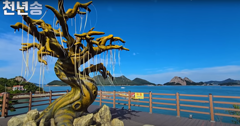 올레트레킹 - 선유도 12Km 비경 트레킹코스 7 천년송전망대