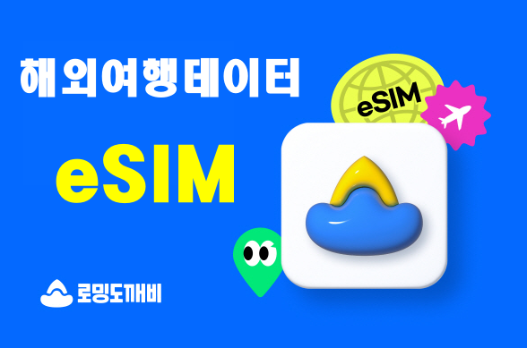 해외여행 준비사항 총정리 2 해외여행 준비사항